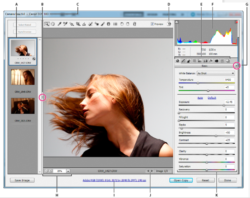 download camera raw for cs5